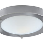 Close-up of a round, brushed nickel ceiling light with a frosted white diffuser.