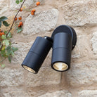 Two black outdoor spotlights illuminate a stone wall with green foliage and orange berries.