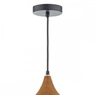 Top portion of pendant light with black canopy and wood accent.