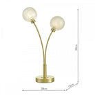 A modern brass table lamp with two spherical shades, showing dimensions of 50cm H x 28cm W.