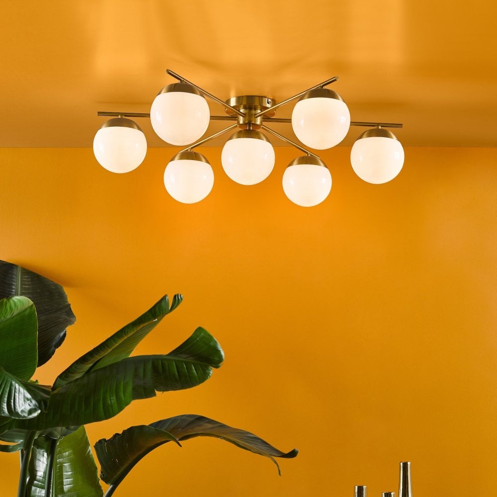 Close-up of a ceiling light fixture with a plant in the foreground.