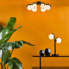 Ceiling light and matching table lamp in a room with orange walls and a green plant.