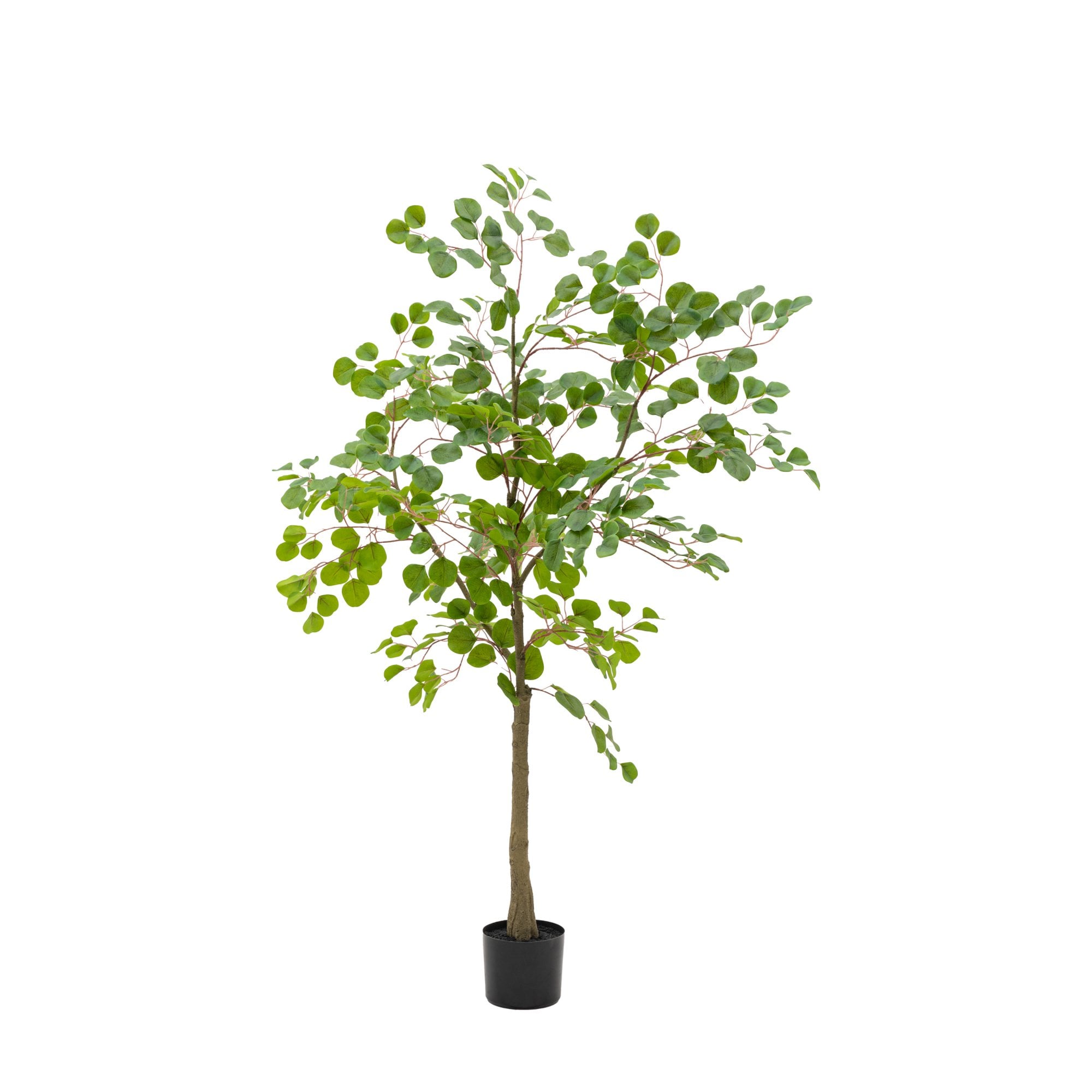 A full view of the faux eucalyptus tree with its green leaves, potted in a black base.