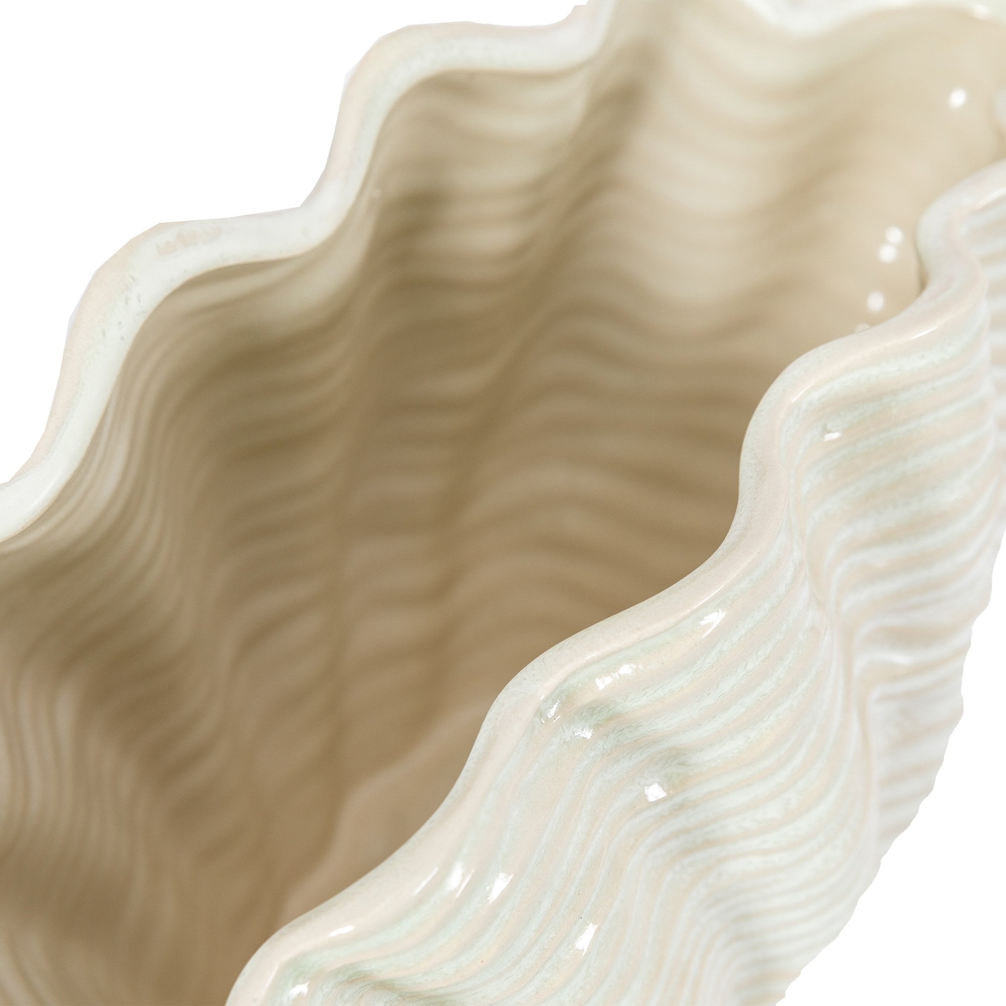 Close-up of the interior and rim of a decorative, off-white clam shell vase.