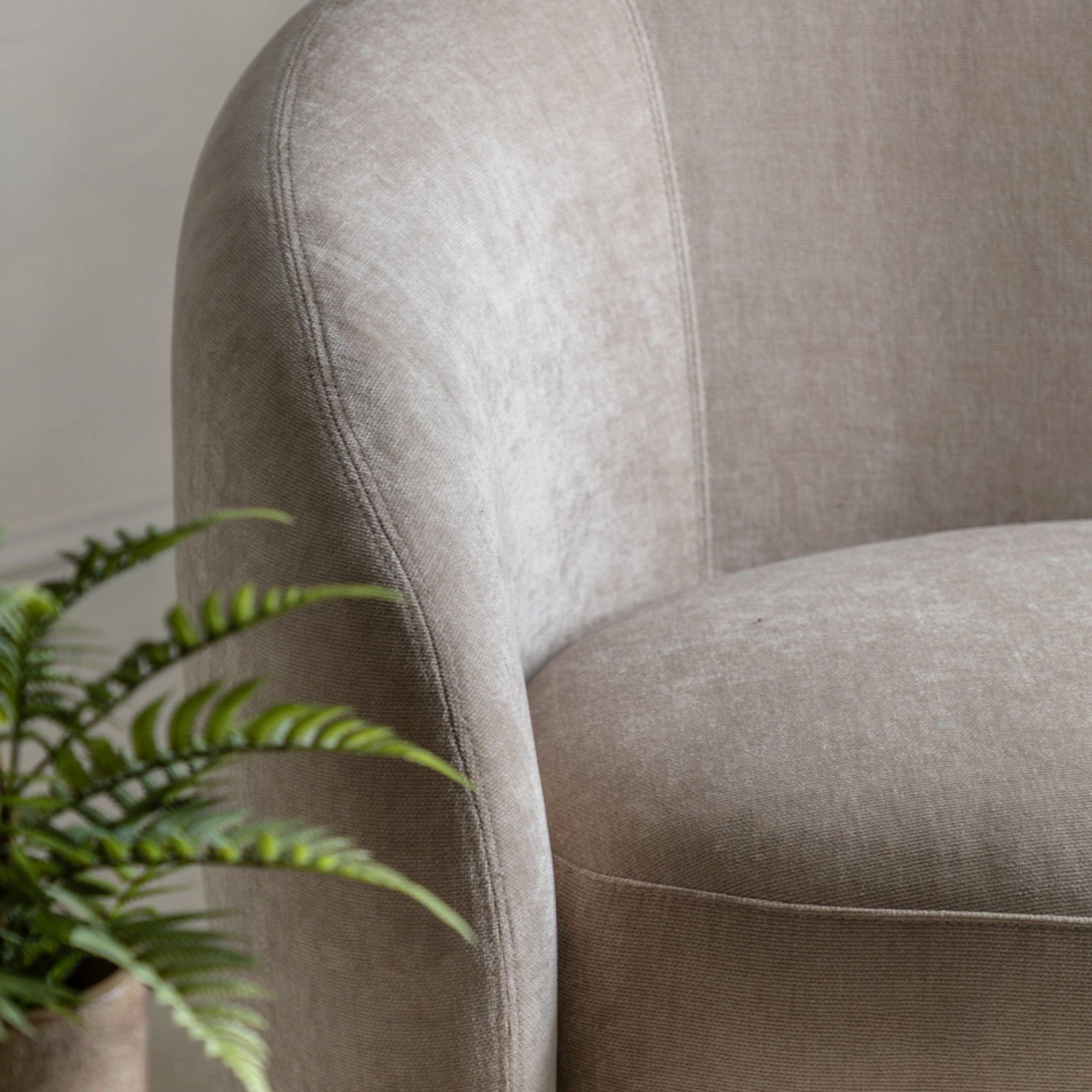 Close-up of the beige sofa armrest with a green plant in the foreground.
