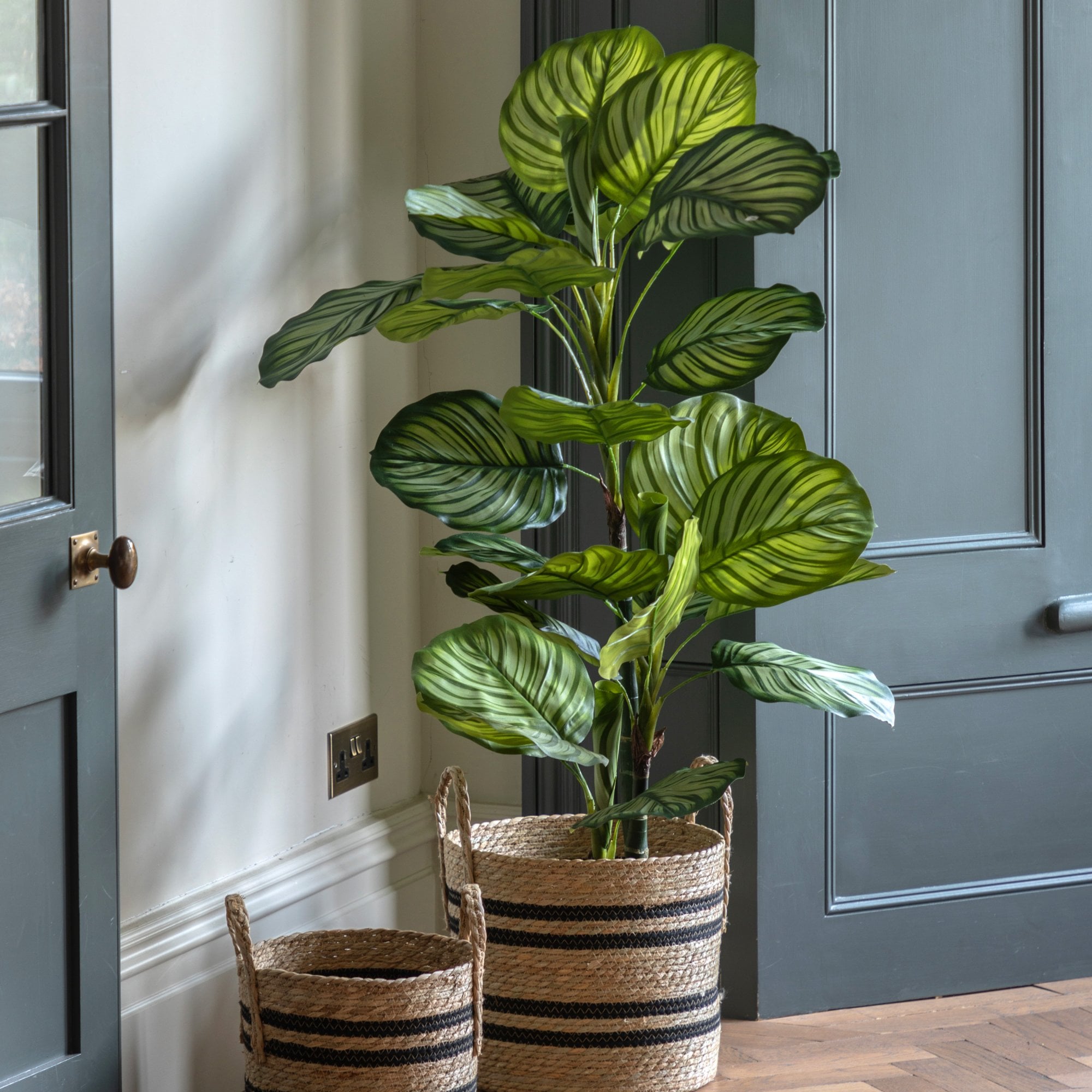 Tall faux Calathea Orbifolia plant in a decorative woven pot by a dark gray door.