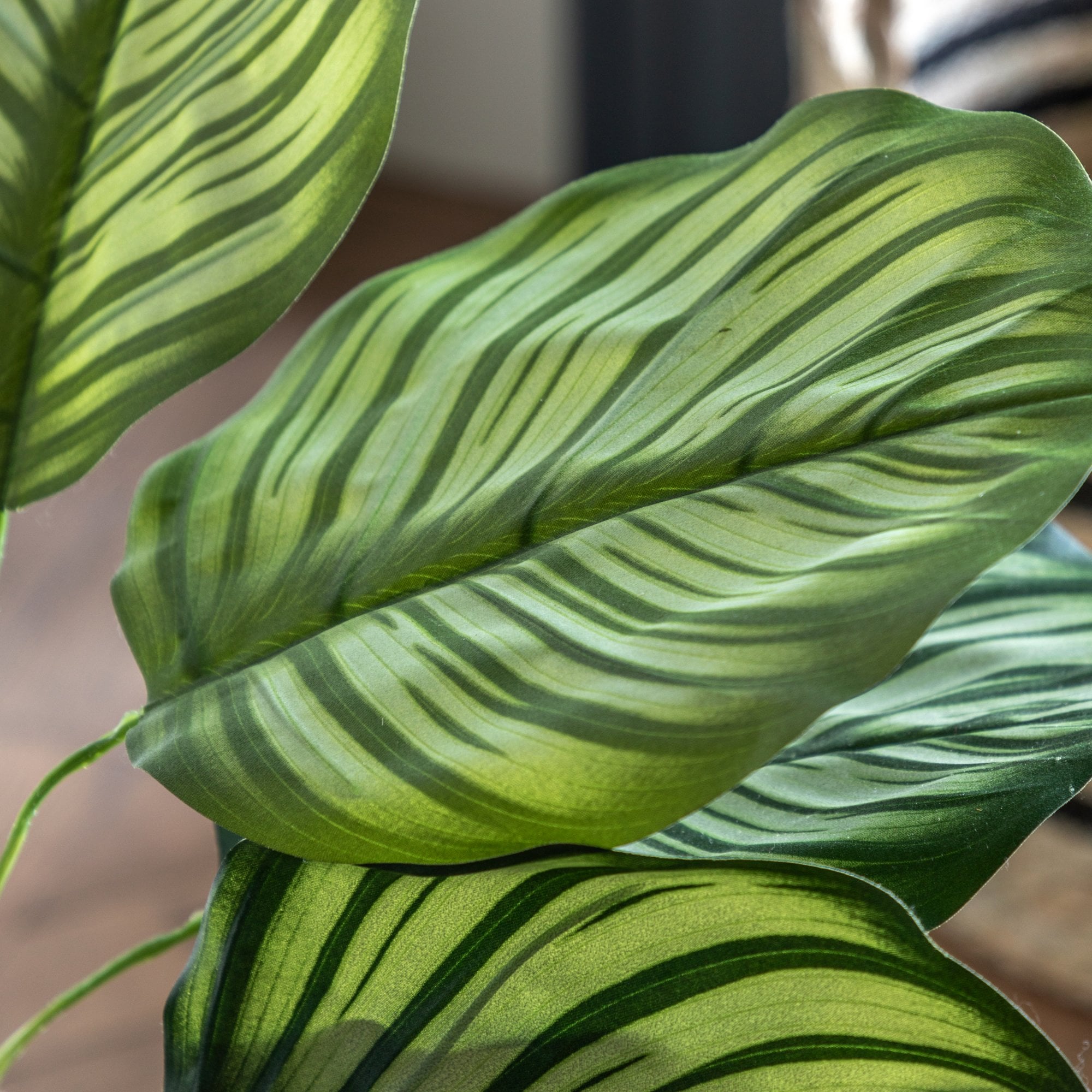 Close-up of a faux Calathea Orbifolia leaf with distinctive striped patterns.