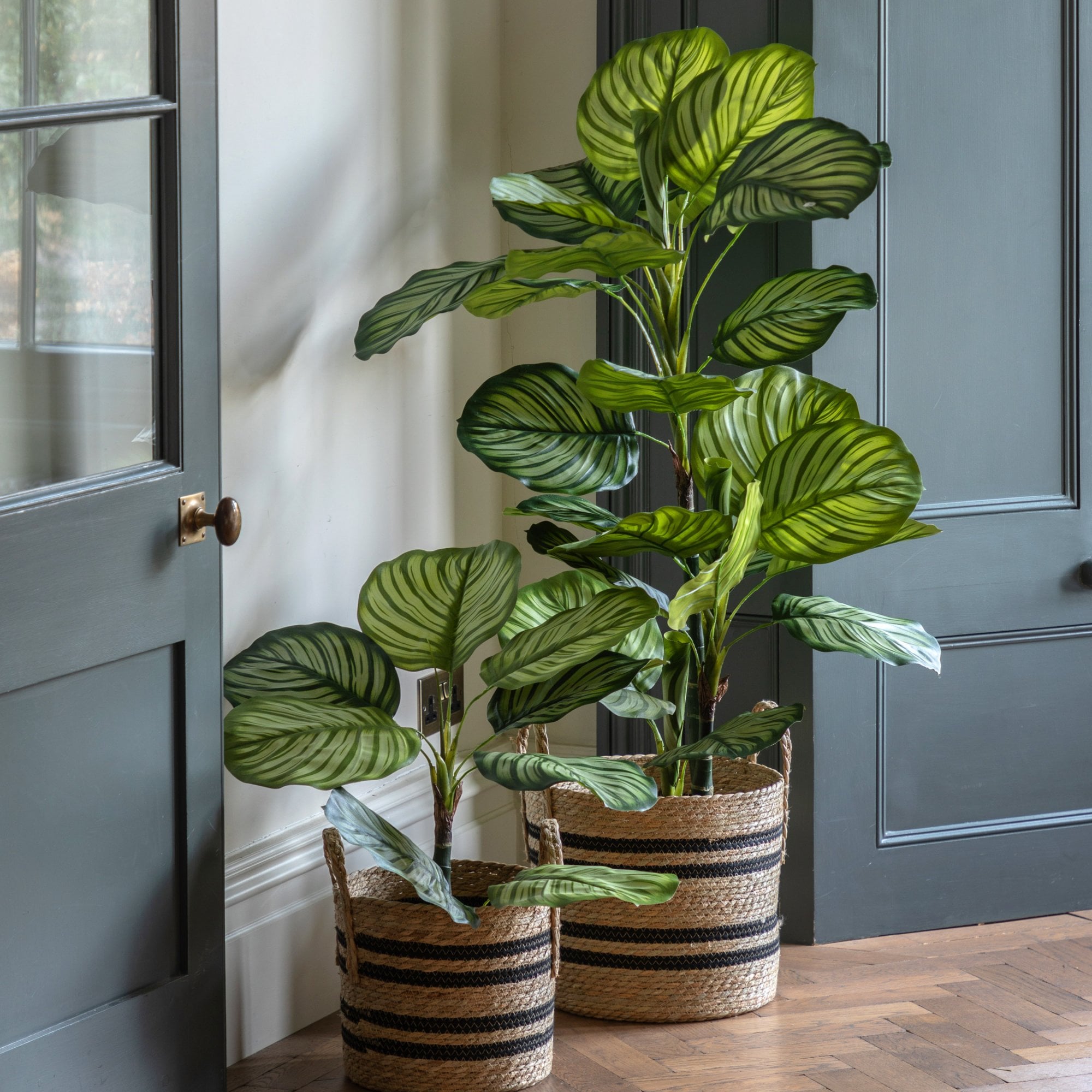 Two faux Calathea Orbifolia plants, different sizes, in woven pots by dark gray doors.