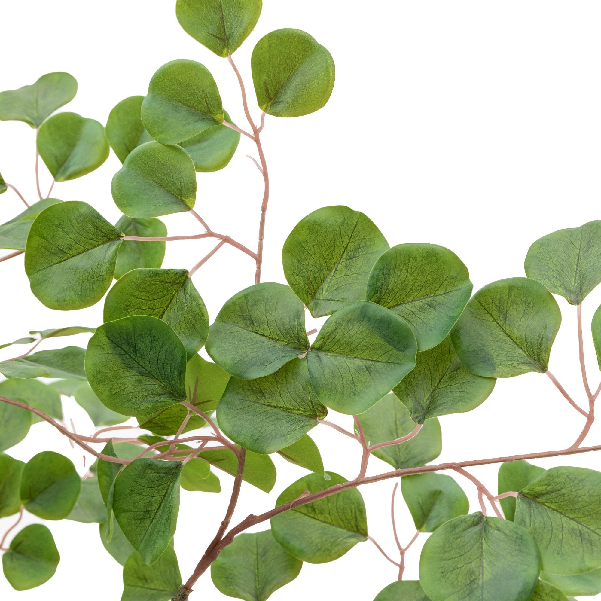 Detailed view of the vibrant green foliage and slender branches of a faux eucalyptus tree.