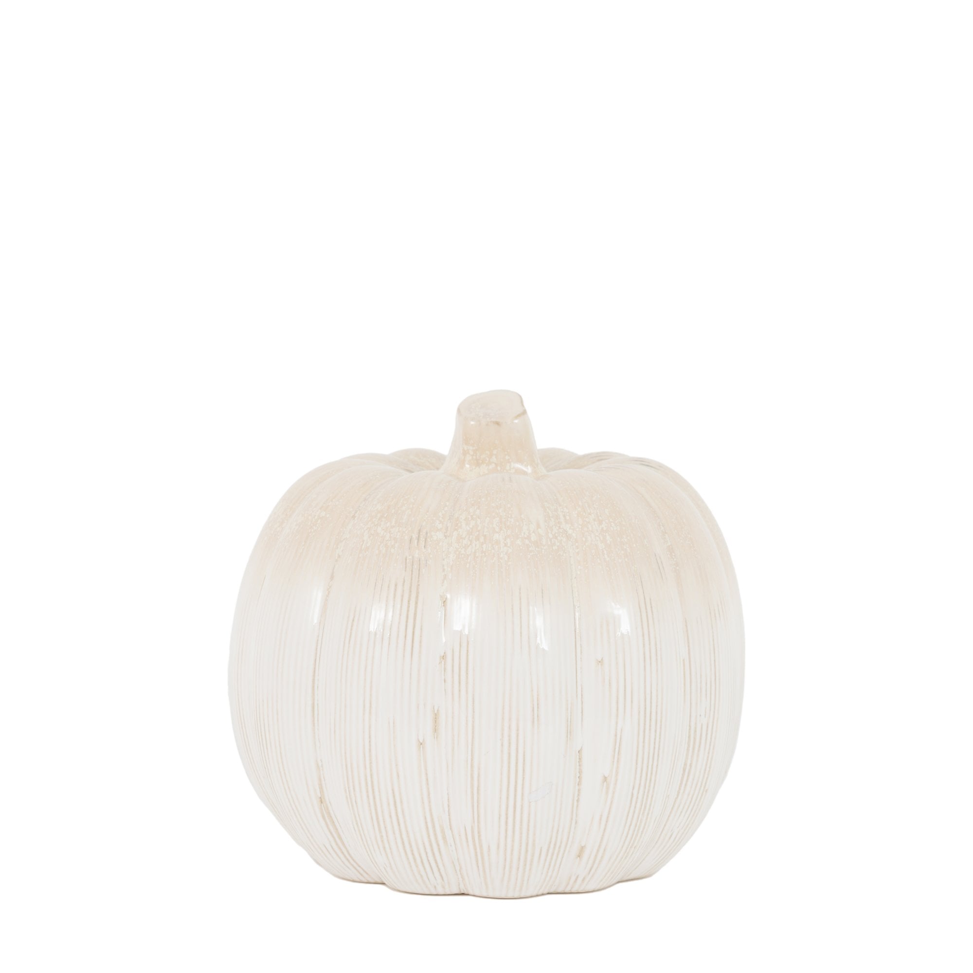 Elegant white pumpkin with a light textured finish, suitable for diverse interior styles.