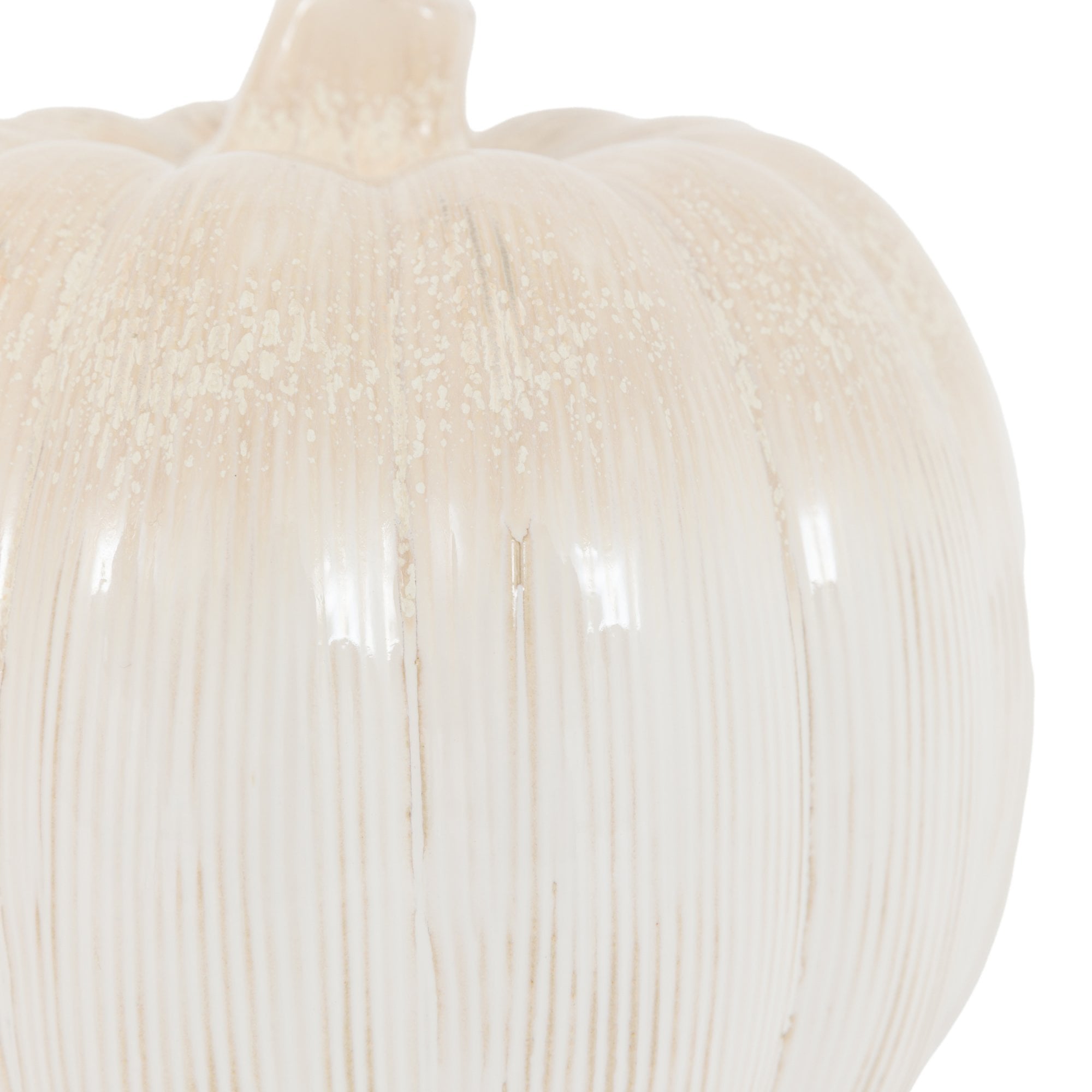 Close-up of the white decorative pumpkin's side, showing its fine vertical lines.