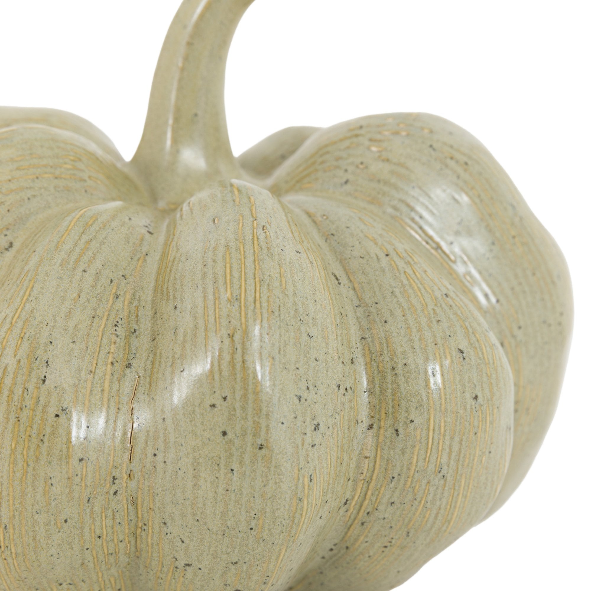 Close-up of the ribbed texture and speckles on a green ceramic pumpkin.