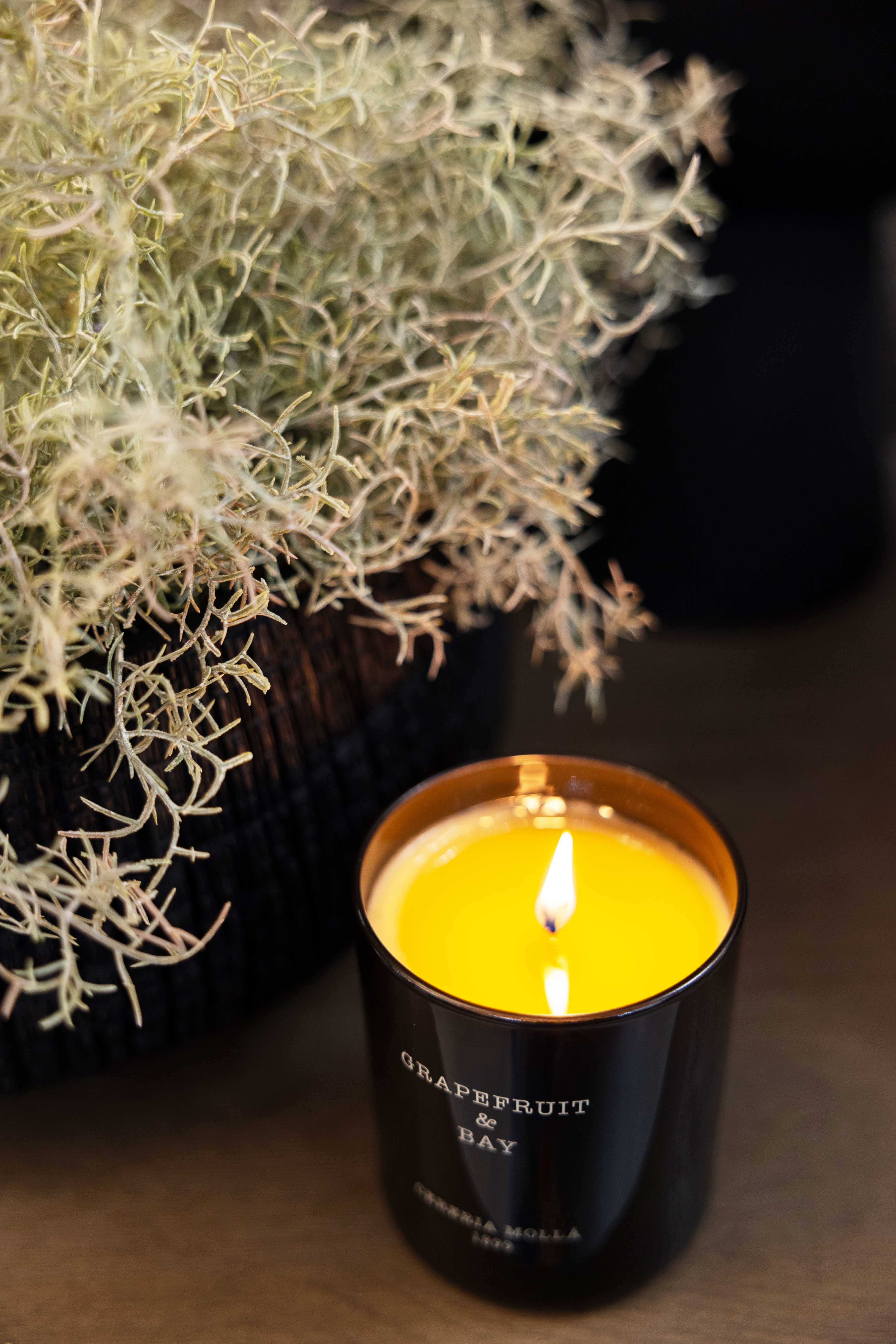 Cereria Molla Candles, Home Fragrances, and Diffusers